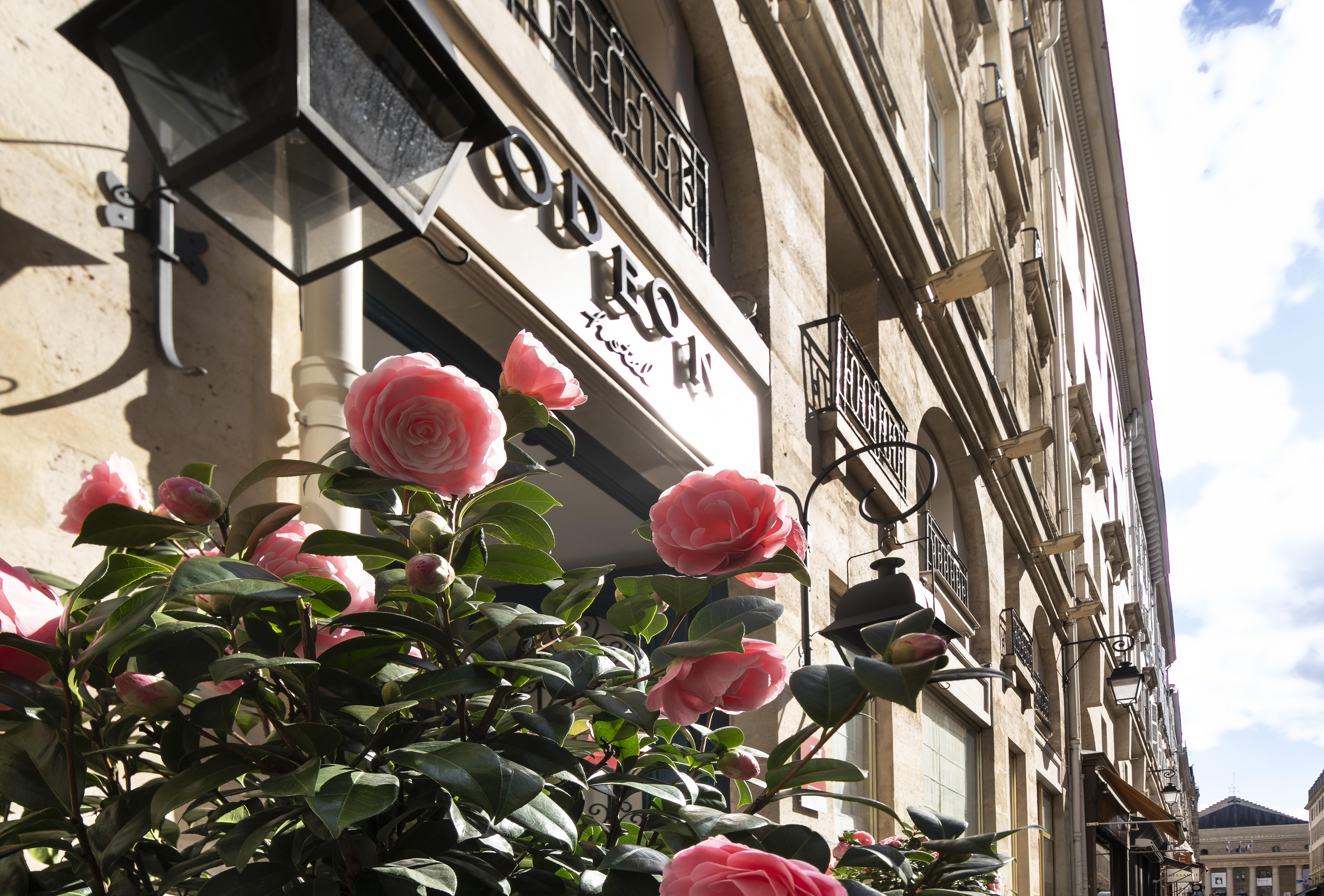 Odeon Hotel Paris Bagian luar foto